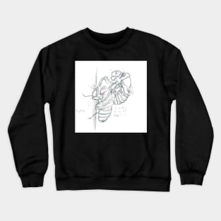 Graphite Cicada Crewneck Sweatshirt